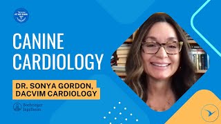 Canine Cardiology with Dr. Sonya Gordon - Veterinary Cardiologist