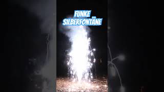 Funke Silberfontäne #shorts #feuerwerk #fireworks