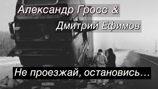 Александр Гросс и Дмитрий Ефимов-Не проезжай, остановись...