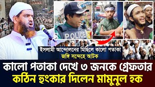 অবাক করা তথ্য ইসলামি আন্দোলনের মিছিল নিয়ে যা বললেন মামুনুল হক। allama mamunul hoque=8/10/24 #ep36