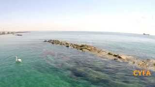 Limassol Pelecan by Cyprus from Above and Oramatech