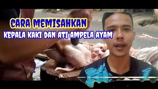 cara memisahkan kepala/ati ampela/usus/kaki/dan brutu tungir.