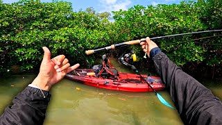 Buscando PESCA entre los Cocodrilos y Manglares 🐊