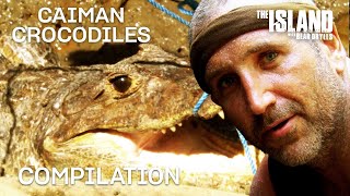 Caiman Crocodiles | The Island with Bear Grylls