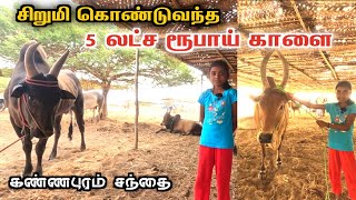 🔥சிறுமி கொண்டுவந்த பாகுபலி காளை ⚡5 லட்சம் காங்கேயம் |kannapuram sandhai 2024 kangeyam