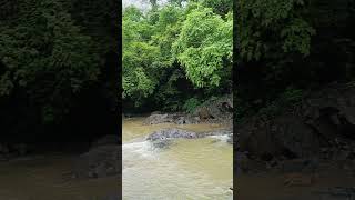 Ganga dharaya Shiv Ganga dharay in tungareshwar 🕉️#mahadev #ganga #waterfall #nature #bholenath