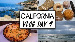 Daily California Vegan Travel VLOG Day 9  |  San Diego Vegan Food  |  Mission Beach & Sunset Cliffs