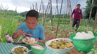 Aktivitas Hidup Di Desa, Memasak sayur Terong Tahu Teri Kuah Santan