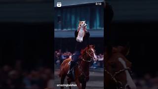 The short legs are lifted high, and the Corgi instantly becomes a "flying corgi" on horseback! 🐶🐴🤩