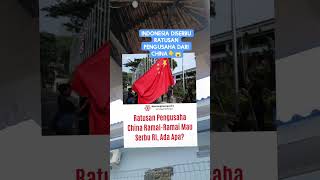 Ratusan pengusaha China serbu Indonesia, ada apa ?‼️ #shorts #short #shortvideo