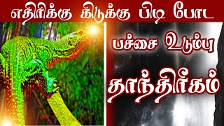 #ஸ்ரீபத்ரகாளியம்மன்#சக்தி#பீடம்.        Kali manthirigam/udumbu tantrika|உடும்பு தாந்திரீகம் எதிரி