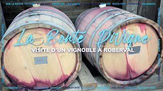 Vignoble La Bonté Divigne à Roberval