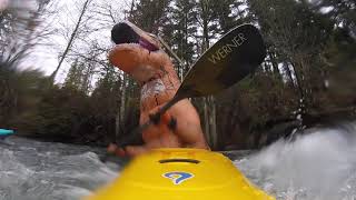 Thomas Rex paddles kayak slalom