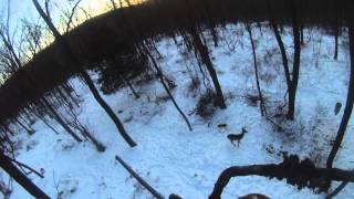 NJ Winter Deer Hunting - Snow + Does = Ken Beam Filling his Freezer | Check out my 1st GoPRO Video