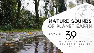 1 hour of pleasant natural sounds - of rain.