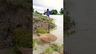 Is jaal me kon si fish he #fishing #shorts #youtubeshorts