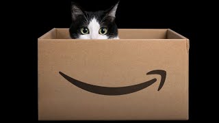 Amazon reduce las cajas, y así han reaccionado los gatos