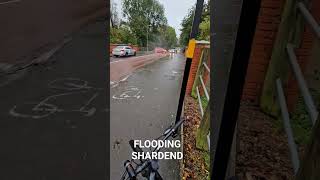 FLOORING SHARDEND #flooding #flood #flooded