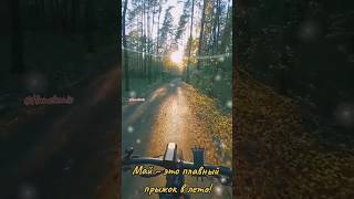 🌞🌱🥰🙏😍🔥 Май – это плавный прыжок в лето!#велосипед #bicycle #fatbike #веломосква #дваколеса #bike