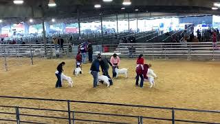 Team GCP- Bobcat Showdown Division 3 Goat Drive 11/19/22