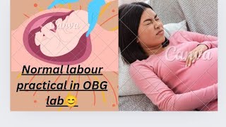 Normal labour practical in OBG lab 😊!!How to viral shorts 👀 🤷