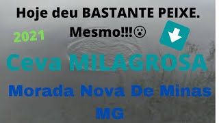 Hoje todo mundo pegou peixe + Ceva MILAGROSA!!!