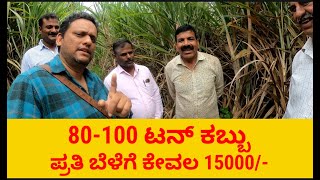 80 -100 ಟನ್ ಕಬ್ಬು  ಪ್ರತಿ ಬೆಳೆಗೆ ಕೇವಲ 15000/- Sugarcane Farming.