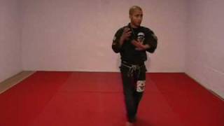 CASA DE KENPO - AMERICAN KENPO - FINGER SET 2