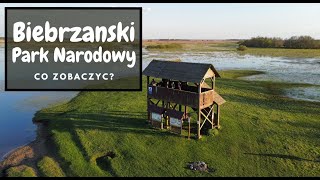 Co zobaczyć w Biebrzańskim Parku Narodowym? 4K DRONE Poland