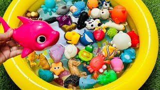 Animal Names for kids, zoo animals, sea animal, farm animal, animals for kids toddlers, Animal toys