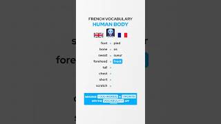 Body French Vocabulary 🇫🇷