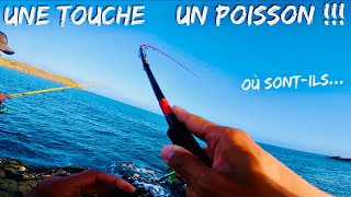 Une TOUCHE, un POISSON !! Où SONT-ILS ?!