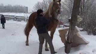 ЦЫГАНСКАЯ   СВАДЬБА ИЛЬЯ и ДАРЬЯ  (начало 1 части)