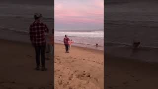 Maple’s beach zoomies #cutedog #cutedogs #beach #beachlife #beachvibes #doglife #doglovers #doggo