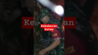 Kebakaran hutan di mbulu7 Pageruyung