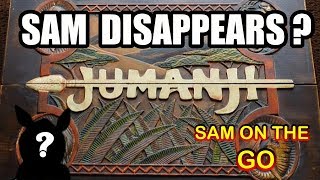 JUMANJI 2017 ! SAM DISAPPEARS ! SAM ON THE GO ! | Sam The Ham