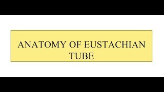 Anatomy of Eustachian Tube