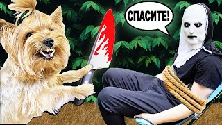 ЗЛОЙ ПЁС ПРОПАЛ ! Похитила МОНАХИНЯ **Все серии**