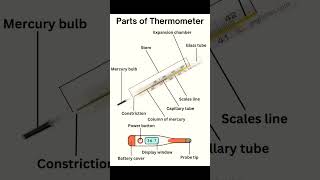 parts of thermometers🌡️#shorts #thermometer #nursing #students