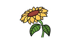 How to Draw a Sunflower