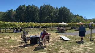 Qualusi Vinyards, Acworth GA