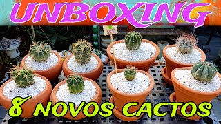 + 8 Cactos novos para coleção, Unboxing ....,