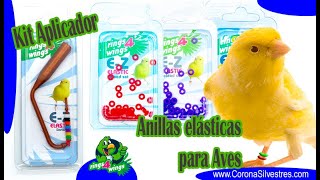 Anillas Elásticas para Aves INSTRUCCIONES