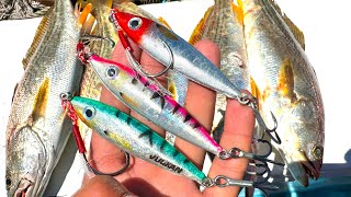 Pesca de CORVINAS y BARRACUDAS a FONDO con SEÑUELOS JIGS.