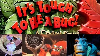 It’s Tough To Be A Bug Ultimate Tribute - Disney’s Animal Kingdom 2024