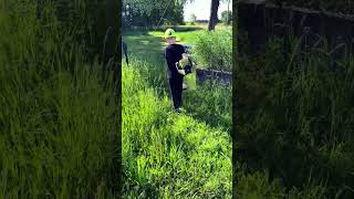 Boy meets weeds , wip those weeds down !! #fun #working #cutting #weeds