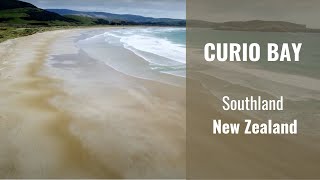 Curio Bay (Tumu Toka), Catlins, Southland, New Zealand