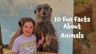 10 Fun Facts About Animals