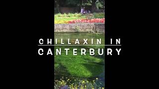 Chillaxin - Moment of Zen in Canterbury, England