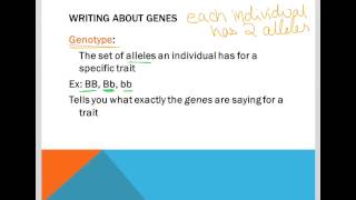 Genetics Vocab